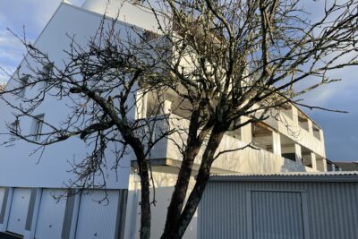 Agrandir l'image 1 sur 3, fenêtre modale