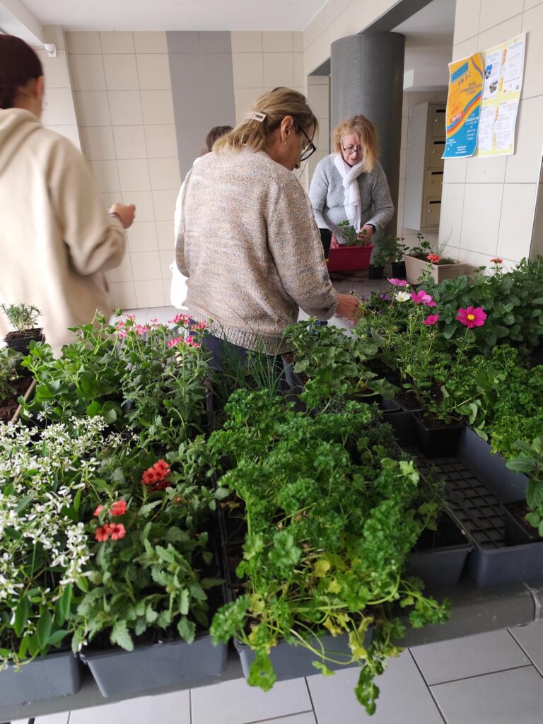 Agrandir l'image, fenêtre modale