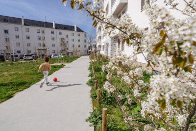 Agrandir l'image 1 sur 5, fenêtre modale